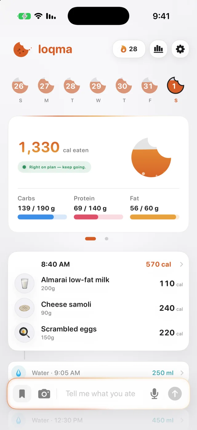 Loqma’s light day screen showing calorie and macro totals, meals, and water